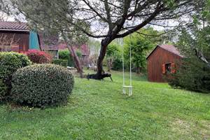 Arbre couché avec balançoire.