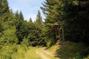 CHEMIN DE RANDONNEE