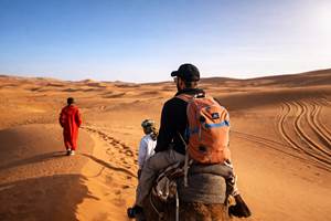 Dans le calme du désert