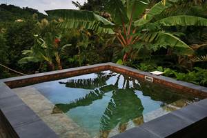 Les Jardins des Balisiers Gîte Balisiers piscine privative