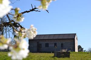 Cabane de l'Ecureuil, au printemps