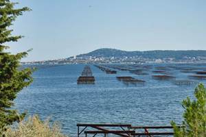 LES DEMEURES DE THAU - Etang