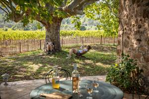 Domaine des Peirecedes-0258