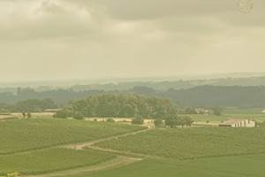 Domaine Laougué - le vignoble tryptique 3