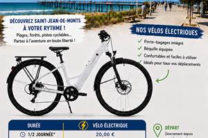 locations velos electriques