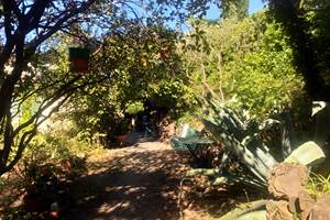 Le Jardin