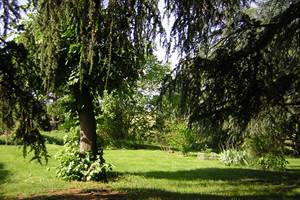 Parc