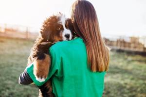 design-blogpro-1024x614-3