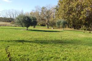 Jardin privatif