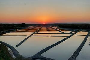 Marais salants guérandais