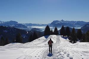 Raquette au Col de Lachat - 1632 m - 2h30 de marche depuis Beauregard