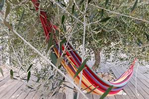 tram jardin 2