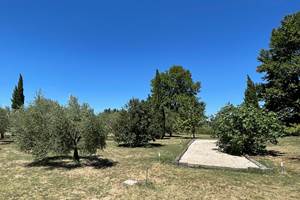 Le terrain de boules