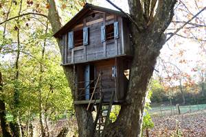 La cabane du grand platane en automne