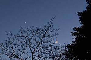 IMG_4787