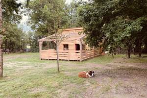 Cabane Némo avec Janga