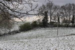 IMG_7358