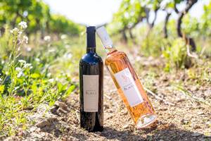 Domaine-du-Blavet-vins