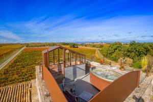 Jacuzzi privée vue sur le vignoble