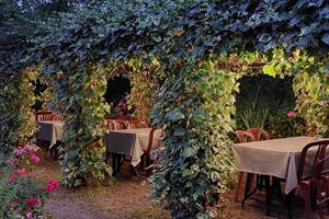 20240727_213933 Tonelle végétalisée éclairée