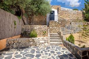 34 Oliveres Patio exterieur 2