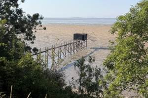 Carrelets