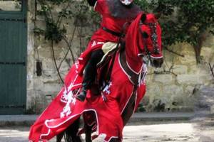 le chevalier dragon