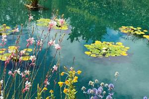 FESTIVAL DES JARDINS -CHAUMONT SUR LOIRE