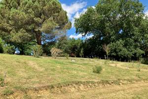 Le jardin