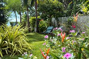 Jardin tropical