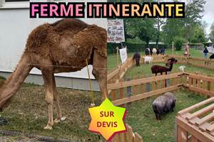 L’écurie du Vermois (30)