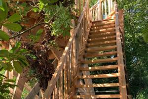 le-nid-de-pie-cabane-dans-les-arbres-escalier-accès-