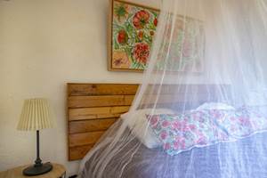 Domaine des Peirecedes-0252