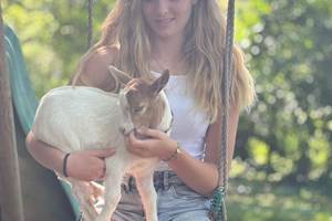 88c13db5-2a45-4a05-86a9-0e08600f5880