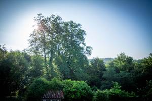 Chambre d'hôtes les chemins de Berdis Blanche vue extérieure