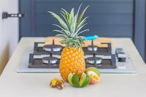 Iguane House villas & Micro Spa Villa Passion cuisine extérieure