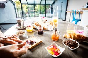 petit déjeuner  vue spa et jardin ensoleillé