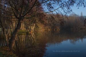 Etang