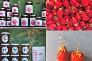 nos produits bio et fait maison
