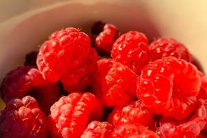 framboises du jardin