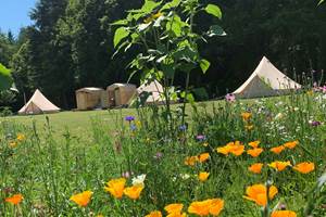 Website banner photo