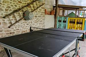 Table de ping-pong