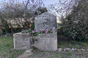 PXL_20250228_164908632