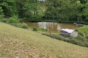 Beaucoup de petits poissons blancs mais aussi des carpes