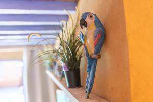 Vue ensemble la Suite "L'Annexe "