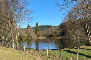 Les terres de la chouette, les nombreux petits étangs font le charme des paysages Limousin