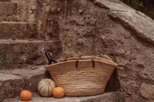 panier
