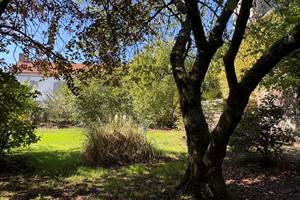 espace-vert-arbres-gite-le-lijaly-bournezeau-vendee-nature-famille.jpg