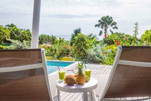 Iguane House villas & Micro Spa Villa Corail pause gourmande en terrasse vue mer