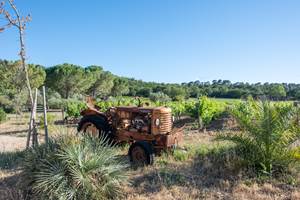 VIEUX TRACTEUR